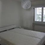 Appartamento Pardi 3 Simeon By Interhome Lenz